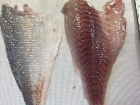 STEEN ST600V 自动去皮机--长