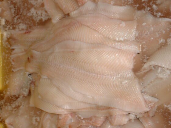 STEEN ST600V 自动去皮机--长