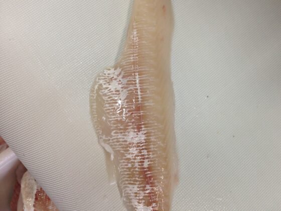 STEEN ST600V 自动去皮机--长