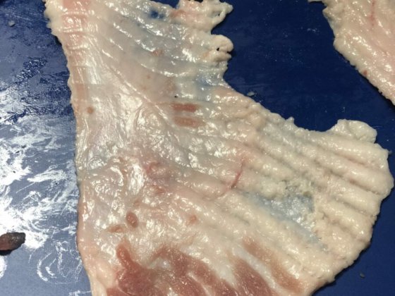 STEEN ST600K 自动去皮机--长