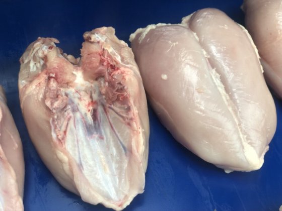 STEEN ST111K 台式去皮机