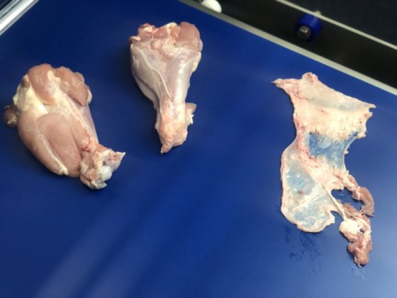 STEEN ST600SK 立式去皮机