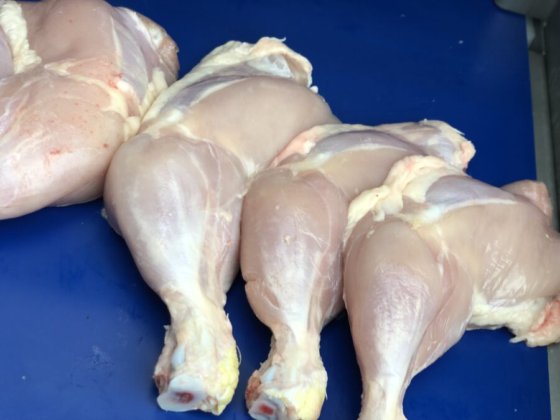 STEEN ST600SK 立式去皮机