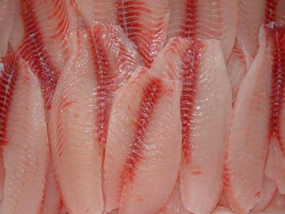 STEEN ST700V 自动（深）去皮机 --长