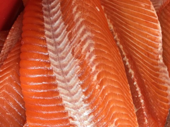 STEEN ST700V 自动（深）去皮机 --长