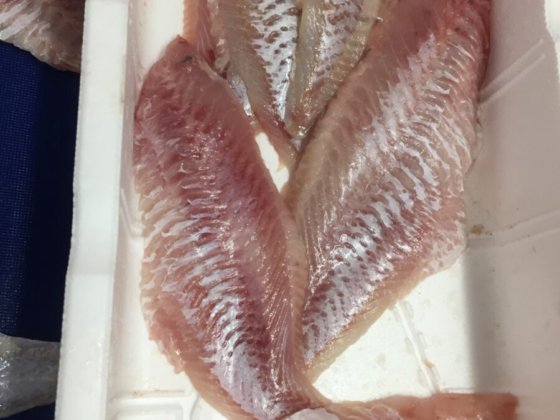 STEEN ST700V 自动（深）去皮机 --长