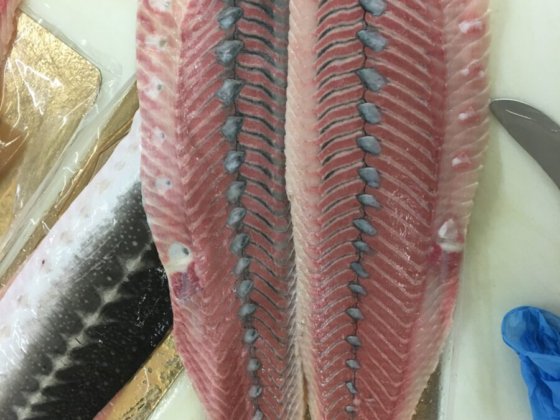 STEEN ST700V 自动（深）去皮机 --长