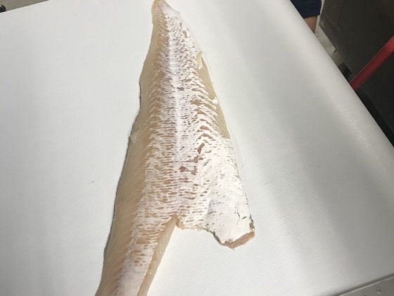 STEEN ST700V 自动（深）去皮机 --长