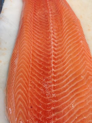 STEEN ST591 剔刺机