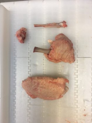 STEEN ST820 郁金香式处理机機