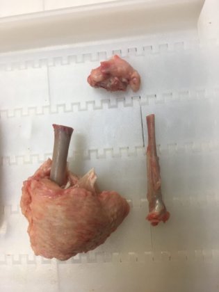 STEEN ST820 郁金香式处理机機