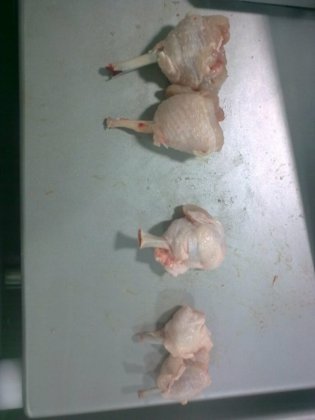 STEEN ST820 郁金香式处理机機