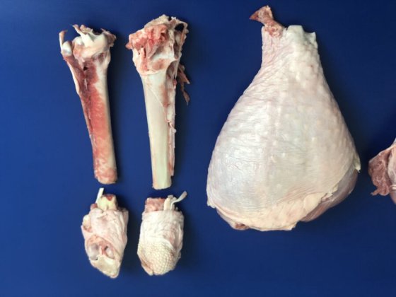 STEEN ST850 剔骨机