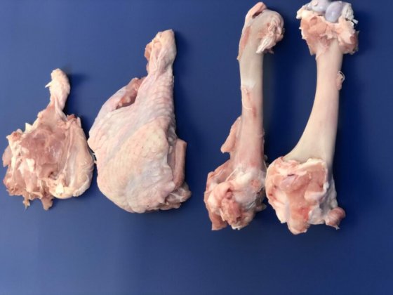 STEEN ST850 剔骨机