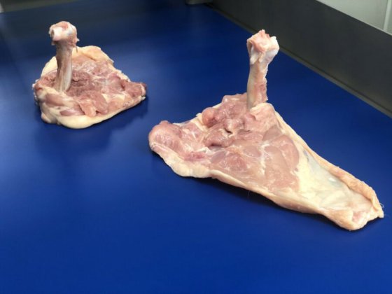 STEEN ST840 剔骨和郁金香式处理机