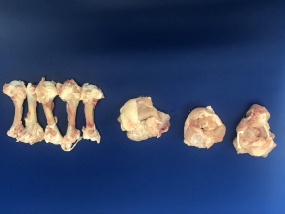 STEEN ST840 剔骨和郁金香式处理机