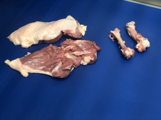 STEEN ST840 剔骨和郁金香式处理机