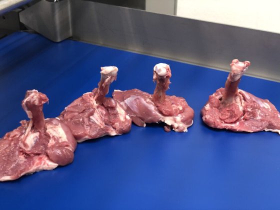 STEEN ST840 剔骨和郁金香式处理机