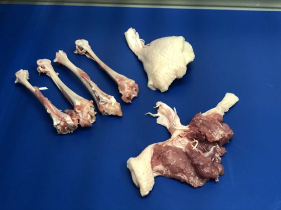 STEEN ST840 剔骨和郁金香式处理机