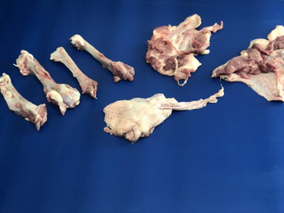 STEEN ST840 剔骨和郁金香式处理机