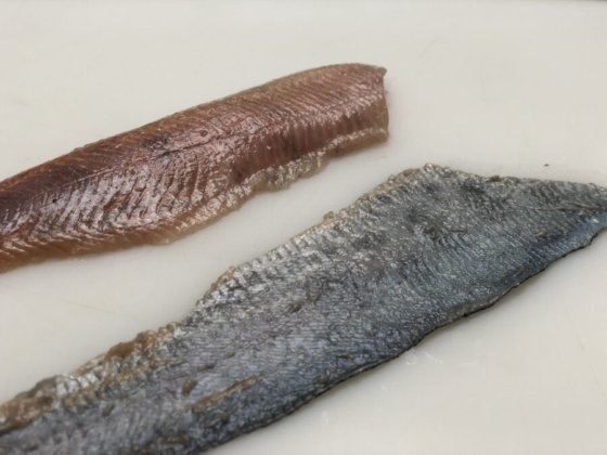 STEEN ST111V 台式去皮机