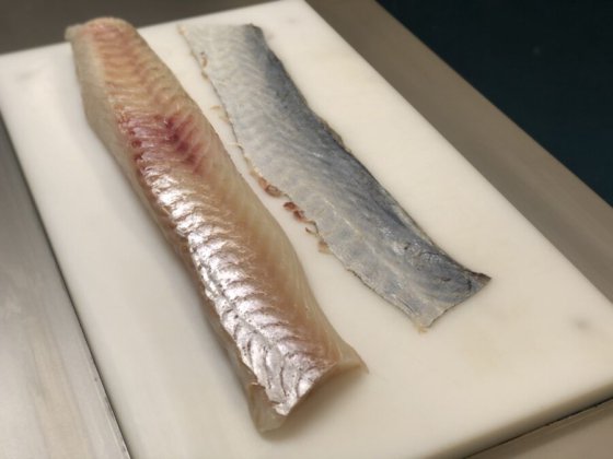 STEEN ST111V 台式去皮机