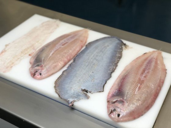 STEEN ST111V 台式去皮机