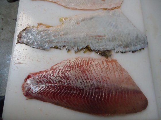 STEEN ST700V10 自动(深)去皮机 -- 短