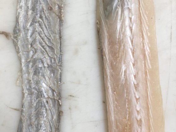 STEEN ST700V10 自动(深)去皮机 -- 短