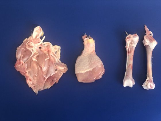 STEEN ST800 高速剔骨机