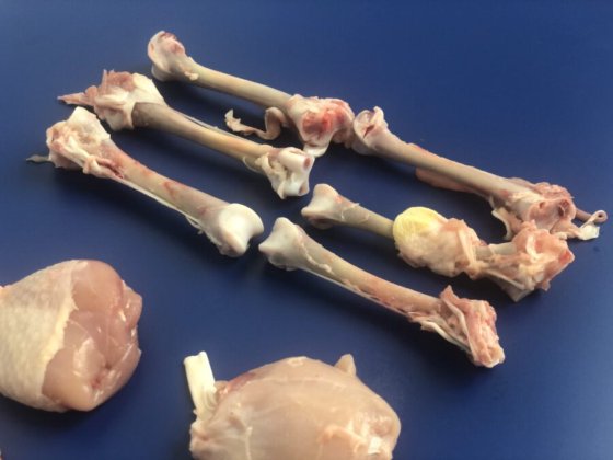 STEEN ST800 高速剔骨机