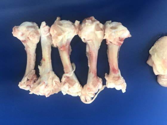 STEEN ST800 高速剔骨机