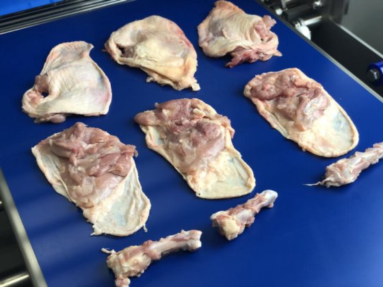 STEEN ST832 剔骨和骨帽移除机