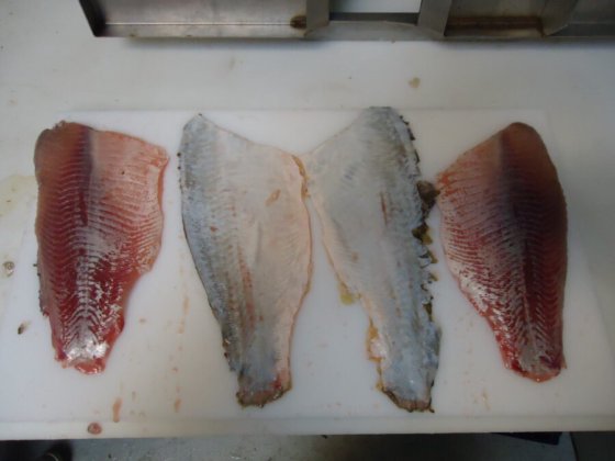 STEEN ST600V10 自动去皮机-- 短