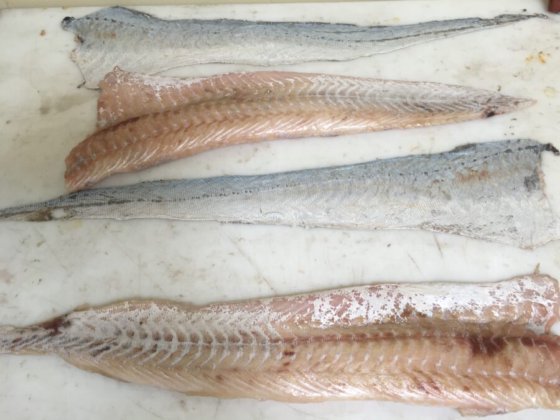 STEEN ST600V10 自动去皮机-- 短