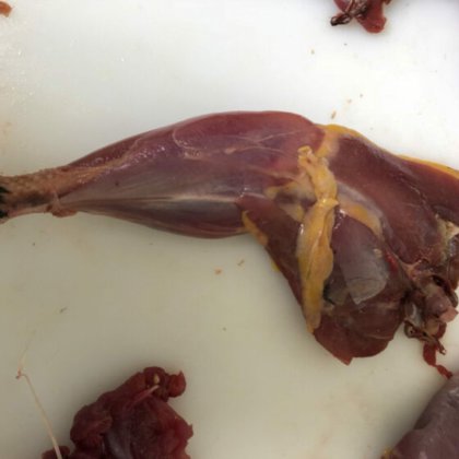 STEEN ST700K 自动去皮机--长