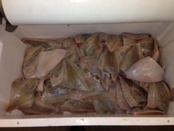 STEEN ST600SV 立式去皮机