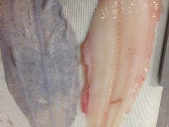 STEEN ST600SV 立式去皮机