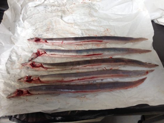 STEEN ST600SV 立式去皮机