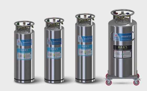 LARS NYSM - 'Ren' Roestvrijstalen drinkfles 350ml - BPA-vrij geïsoleerde waterfles
