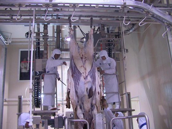 肉类加工设备 用于绵羊屠宰场的液压式绵羊/山羊拉皮机（带 CE 认证）羊肉加工