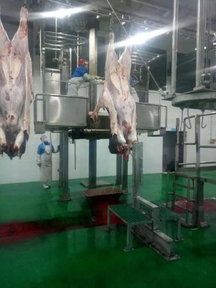 制造清真牛屠宰场拌料生产线设备 屠宰机械 牛肉屠宰场设备