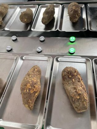 半自動手動の 12 の版はパッキング機械のための秤量機の重量を量るブドウのマンゴーの組合せを量ります