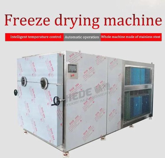 工业冷冻干燥机食品脱水机高品质工厂价格可定制冻干水果