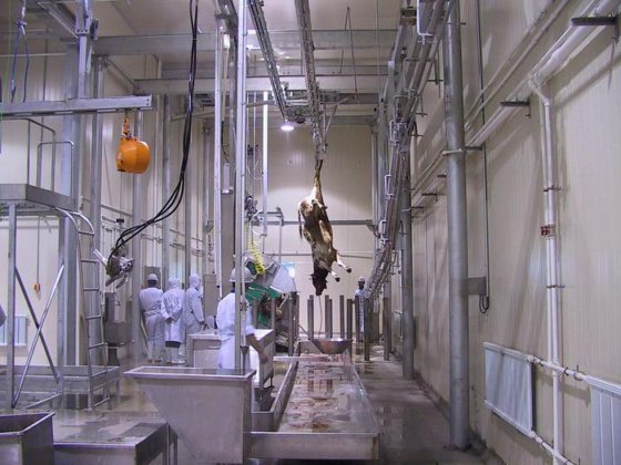 四分之一胴体斜坡提升机 牛屠宰场设备 屠宰设备成套设备 肉类加工机