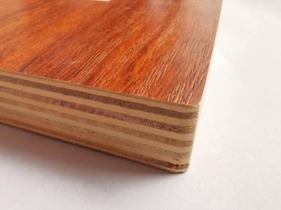 2023 SINODEC PUR1400mm