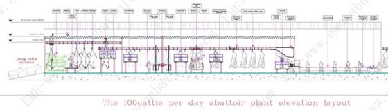 现代设计的日屠宰牛屠宰场屠宰机械 牛肉屠宰场设备 奶牛屠宰机