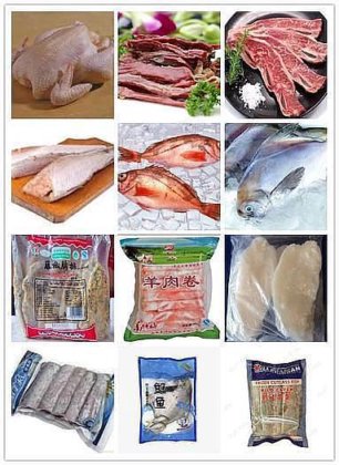 描述 中国自动鸡肉和冷冻食品包装机供应商