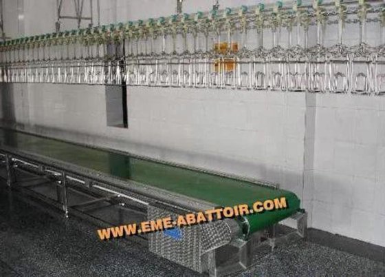 直观的高性能流线型活禽笼带式输送机 屠宰场屠宰场设备