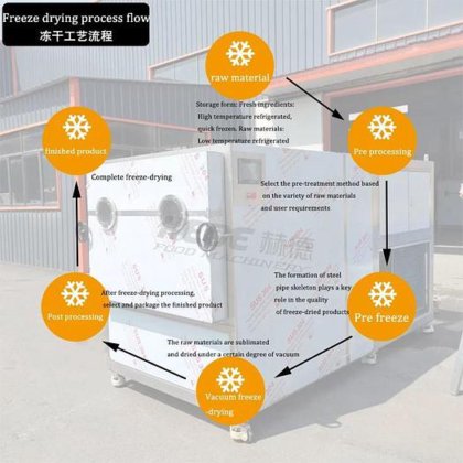 工业冷冻干燥机肉类水果蔬菜海鲜蘑菇高品质热销